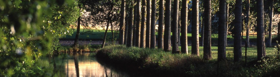 Reflets sur la Théols, Indre