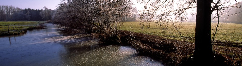 Bras d’eau gelé au matin, Alsace