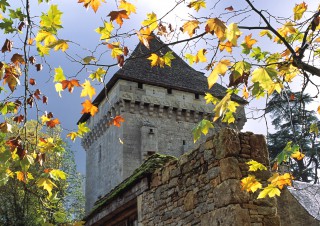 Château de la Salle, Saint-Léon sur Vézère, Dordogne