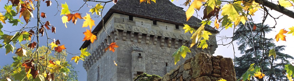 Château de la Salle, Saint-Léon sur Vézère, Dordogne