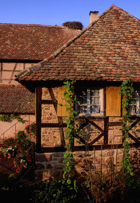 Colombages à l’Ecomusée, Alsace