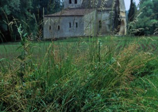 L’église Saint-Caprais à Carsac-Aillac, Dordogne