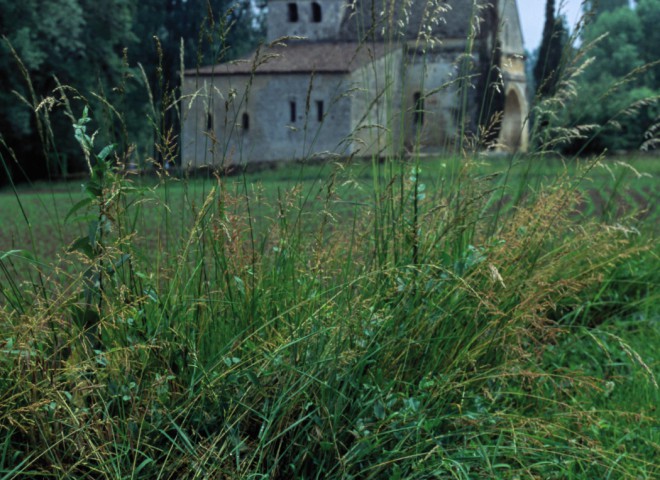 L’église Saint-Caprais à Carsac-Aillac, Dordogne