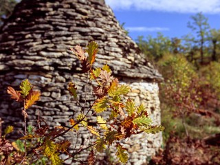 Feuilles de chêne et borie, Dordogne