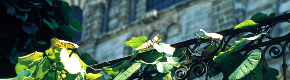 Le Puy en Velay, Haute-Loire – La cathédrale, façade