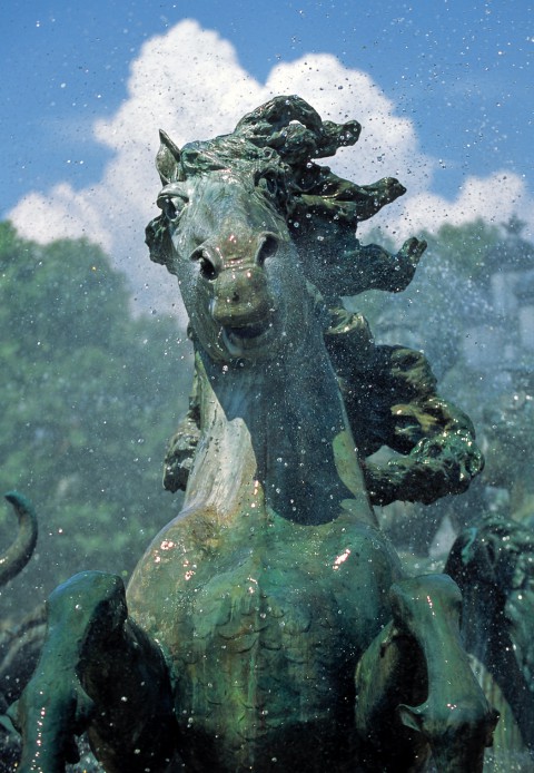 Monument aux Girondins, Bordeaux, Gironde – Tête de cheval