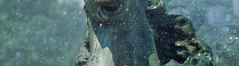 Monument aux Girondins, Bordeaux, Gironde – Tête de cheval