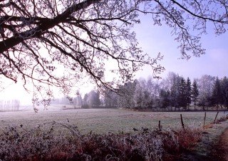 Gel matinal sur le Sundgau, Alsace