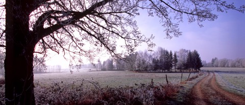 Gel matinal sur le Sundgau, Alsace