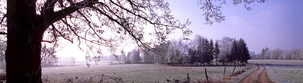 Gel matinal sur le Sundgau, Alsace