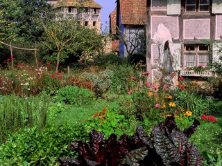 Potager luxuriant, Ecomusée, Alsace