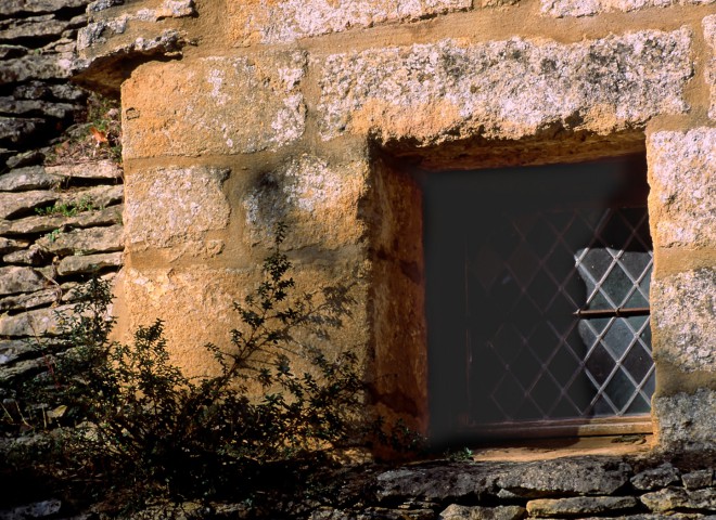 Un lézard à la fenêtre, Beynac, Dordogne