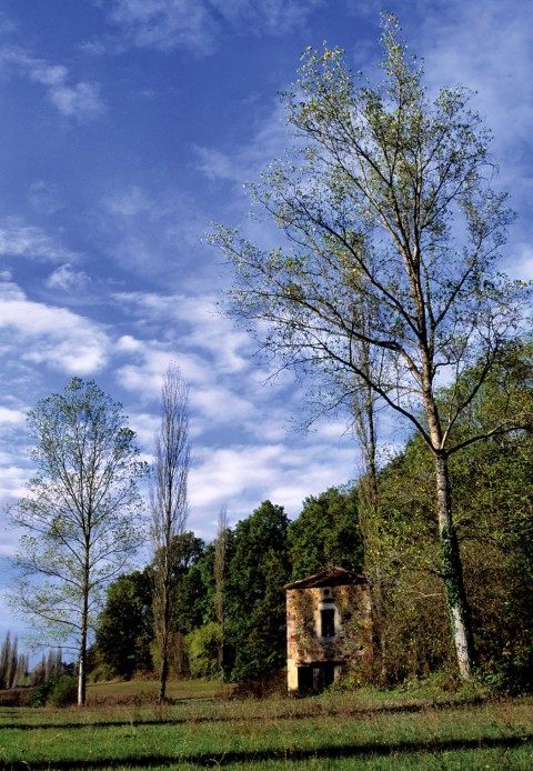 Vers Belvès, Dordogne