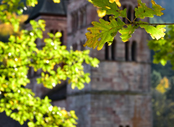 Ambiance d’automne, Murbach, Alsace