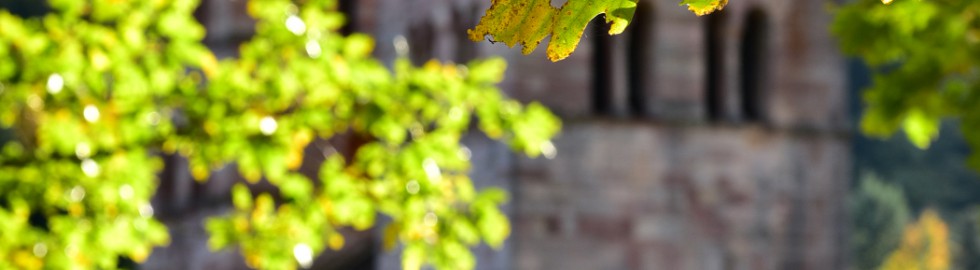 Ambiance d’automne, Murbach, Alsace