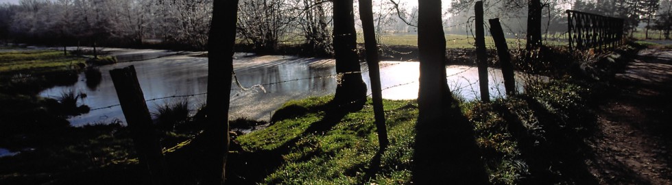Contre-jour, matinée d&rsquo;hiver  –  Alsace