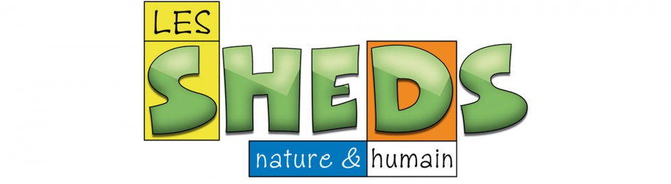 Etude logo Les Sheds