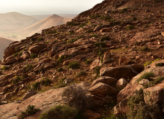 Montagnes vers Betancuria, Fuerteventura, Iles Canaries