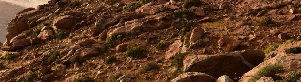 Montagnes vers Betancuria, Fuerteventura, Iles Canaries