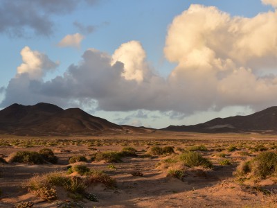 Vers Puerto de la Cruz, Fuerteventura, Iles Canaries