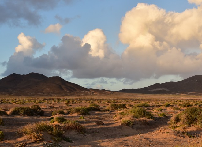 Vers Puerto de la Cruz, Fuerteventura, Iles Canaries