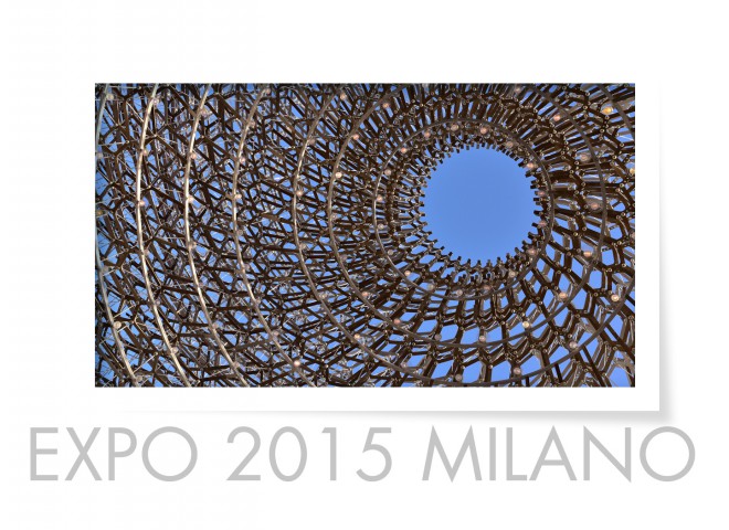 Expo 2015 Milan