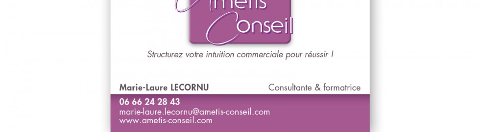 Carte de visite Amétis Conseil