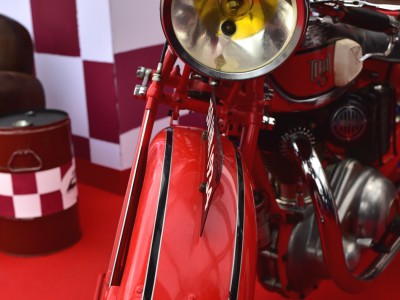 Cyclope rouge – Terrot