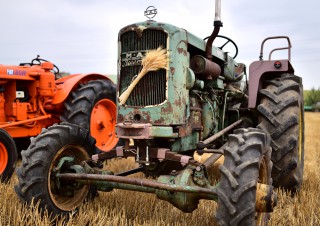 Tracteur MAN « Ackerdiesel » – Rassemblement  ARAMAA, Reiningue, Alsace
