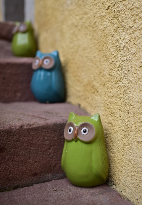 Chouettes sur escalier