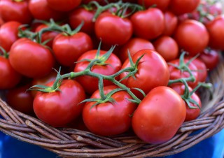 Tomates fraiches – Marché de Libourne