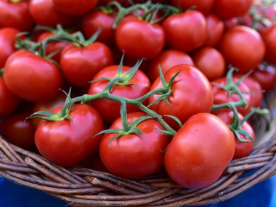 Tomates fraiches – Marché de Libourne