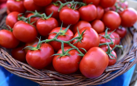 Tomates fraiches – Marché de Libourne