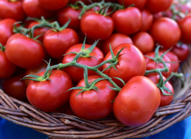 Tomates fraiches – Marché de Libourne