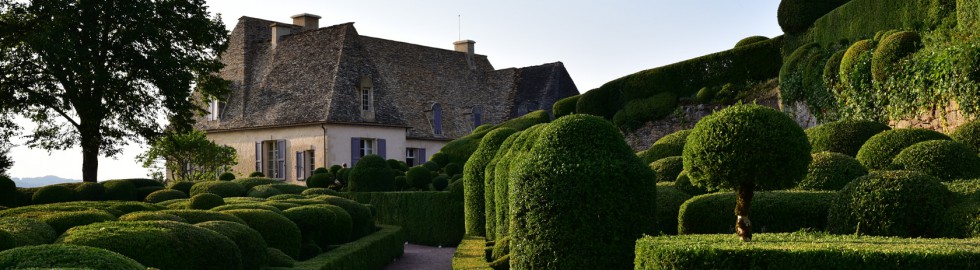 Les buis du château de Marqueyssac