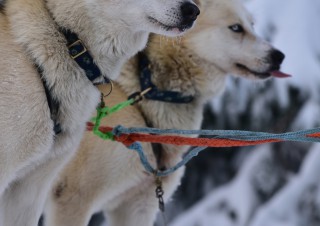 Diego et Gaïa