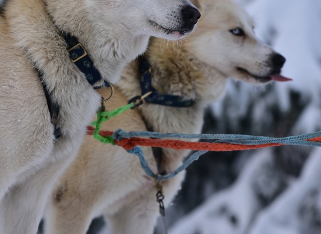 Diego et Gaïa