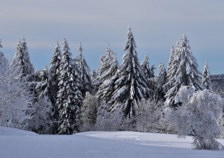 Ballon d’Alsace, frissons d’hiver