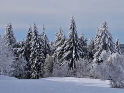 Ballon d’Alsace, frissons d’hiver