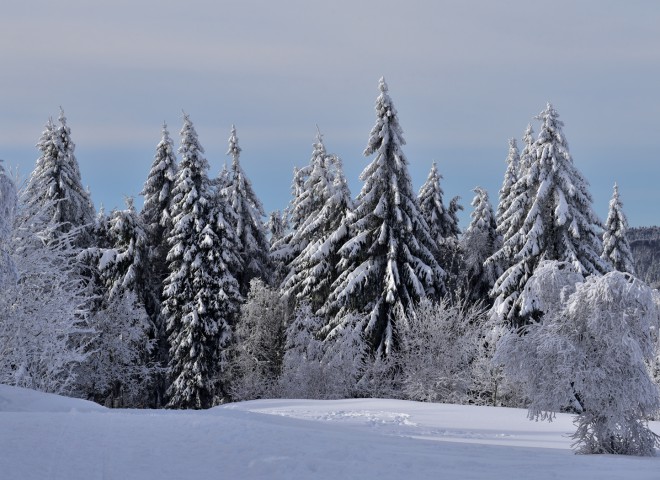 Ballon d’Alsace, frissons d’hiver