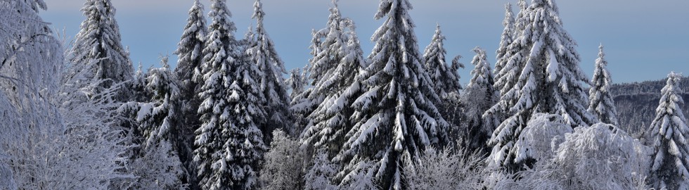 Ballon d’Alsace, frissons d’hiver